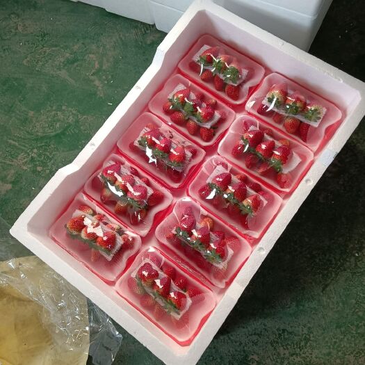 阜阳天仙醉草莓 草莓