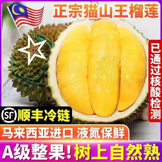 广州一件代发 批发猫山王榴莲马来西亚d197 电商同步