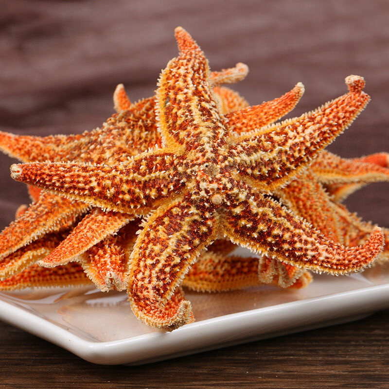 海星【假一赔十】