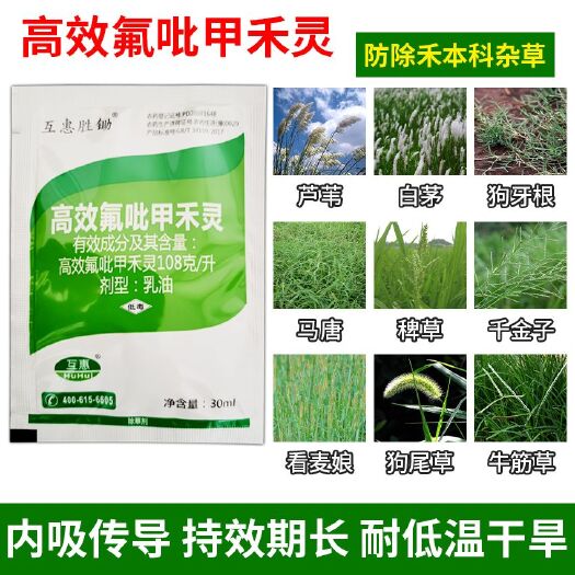 郑州10.8%高效氟吡甲禾灵 防除芦苇 白茅等顽固性尖叶杂草