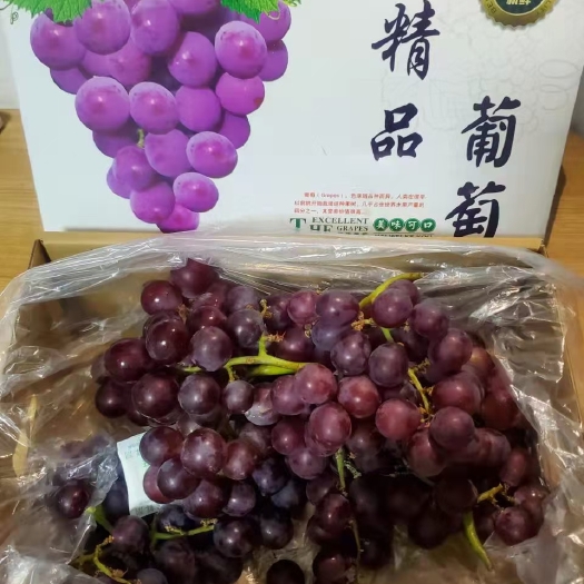 晋州市礼品盒巨峰葡萄