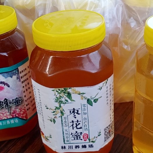 龙口市槐花蜜 山东蜂蜜