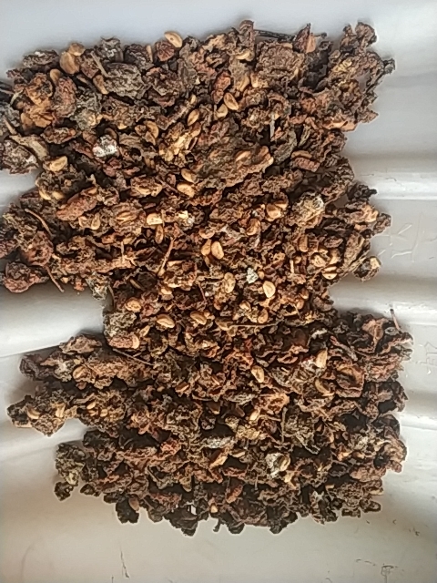 郑州山楂干 干山楂∨