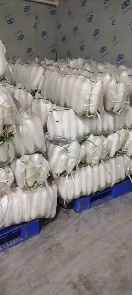 钟祥市萝卜 湖北省荆门市沙洋县 1.5~2斤 