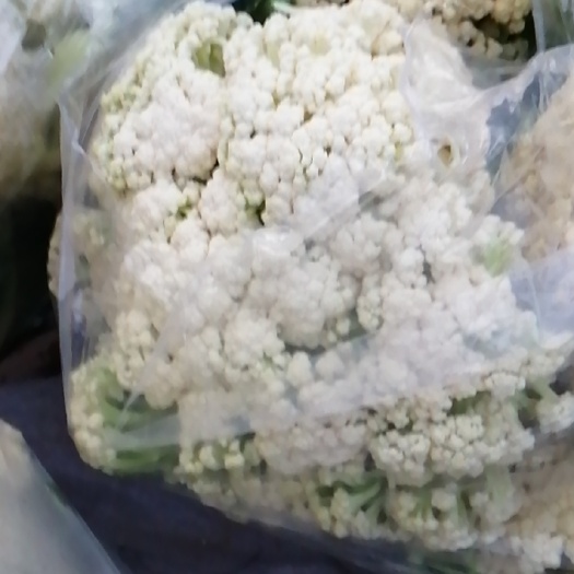 沛县白花菜花 适中 江苏省徐州市沛县 1~2斤 