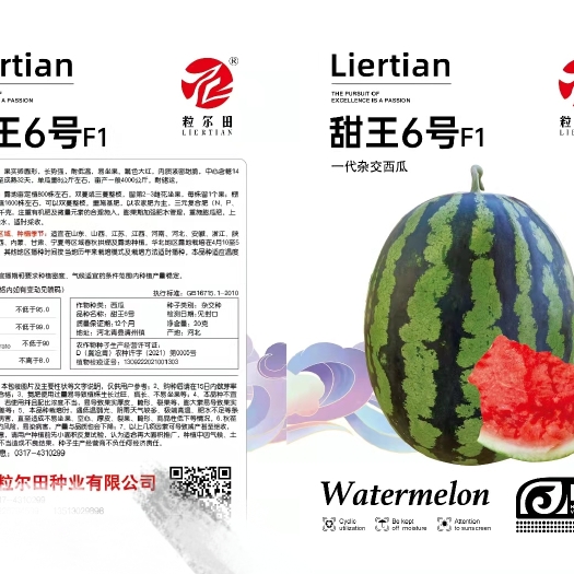 郑州甜王六号西瓜种子