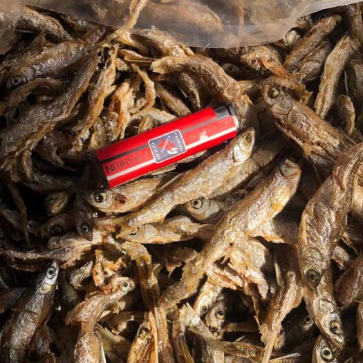 河源 鱼干