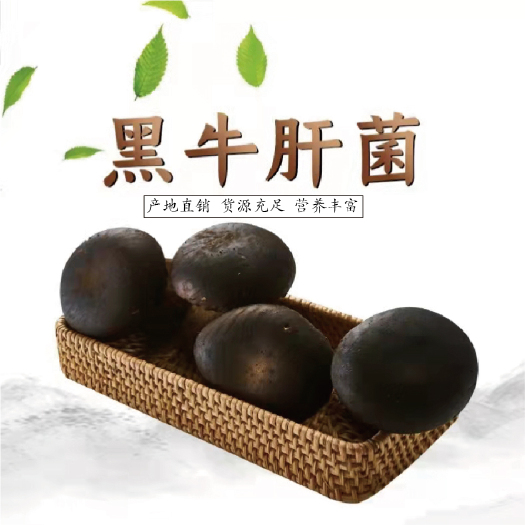 杭州牛夫人黑牛肝菌 5斤起包邮