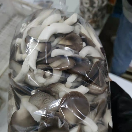  秀珍菇