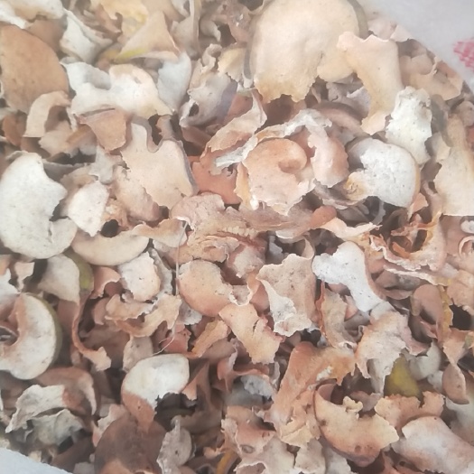 谷城县酸木瓜片儿，药木瓜片儿，晒干的木瓜干片儿。