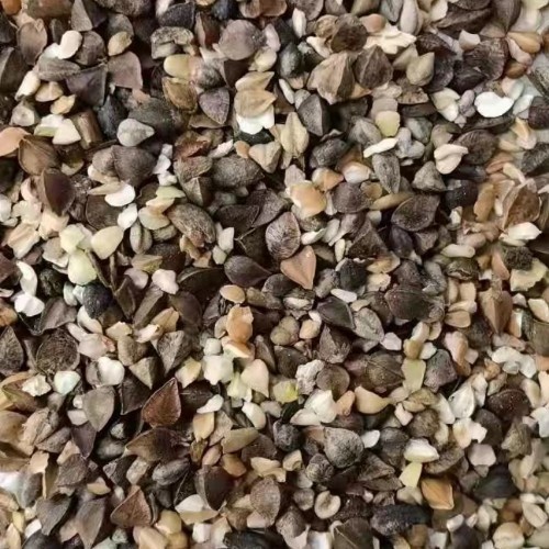 石家庄甜荞   荞麦颗粒饲料