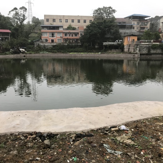 长沙坑塘 歌乐山森林公园周边12亩钓场出租，占地十二亩左右，水面面
