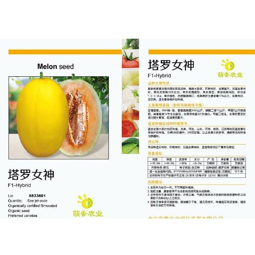 寿光市火烈鸟甜瓜种子黄皮红瓤果肉酥脆庭院 糖度高特别甜香瓜甜瓜种