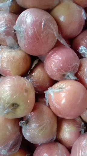 红富士苹果 精品纸+膜红富士口感脆甜，无病害