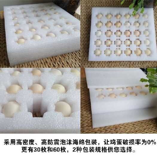嘉祥县纯种汶上芦花鸡种蛋孵化种蛋受精率高提供孵化养殖技术
