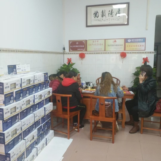 藤县常温牛奶：高钙，AD钙，晨鲜乳酸菌，牧场纯奶，核桃花生