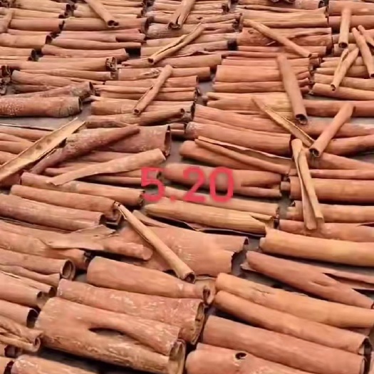 平南县肉桂 黄通桂板玉桂