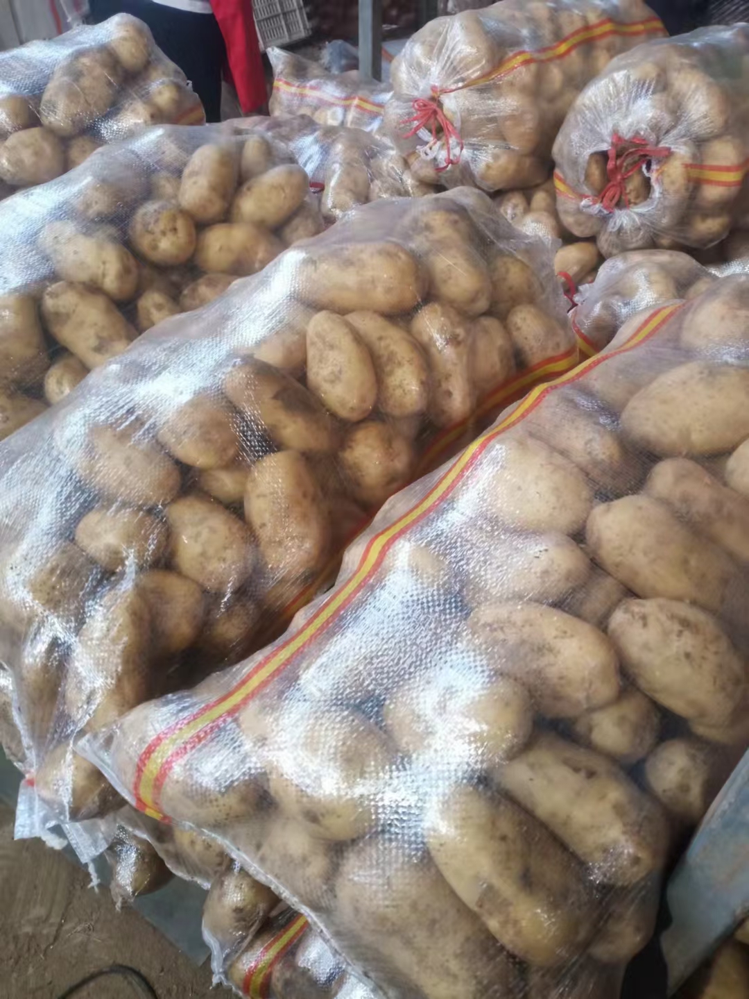 荷兰土豆产地批发，荷兰十五土豆4两以上平台发货