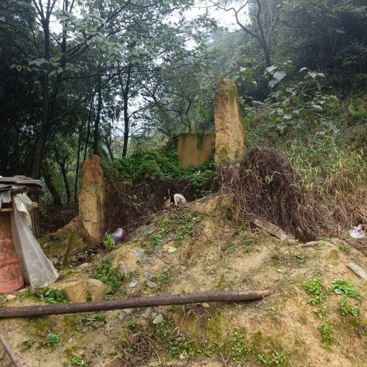 重庆市宅基地 江北五宝，一家6口指标150建筑面积，可以修3层，