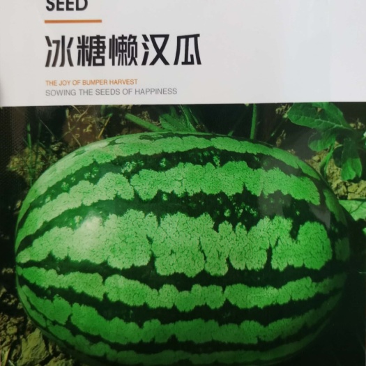  冰糖懒汉西瓜种子，绿花皮,红瓤,质脆,含糖量13.5%