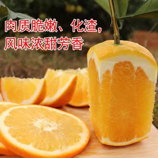宁远县 纽荷尔脐橙，坏货包陪