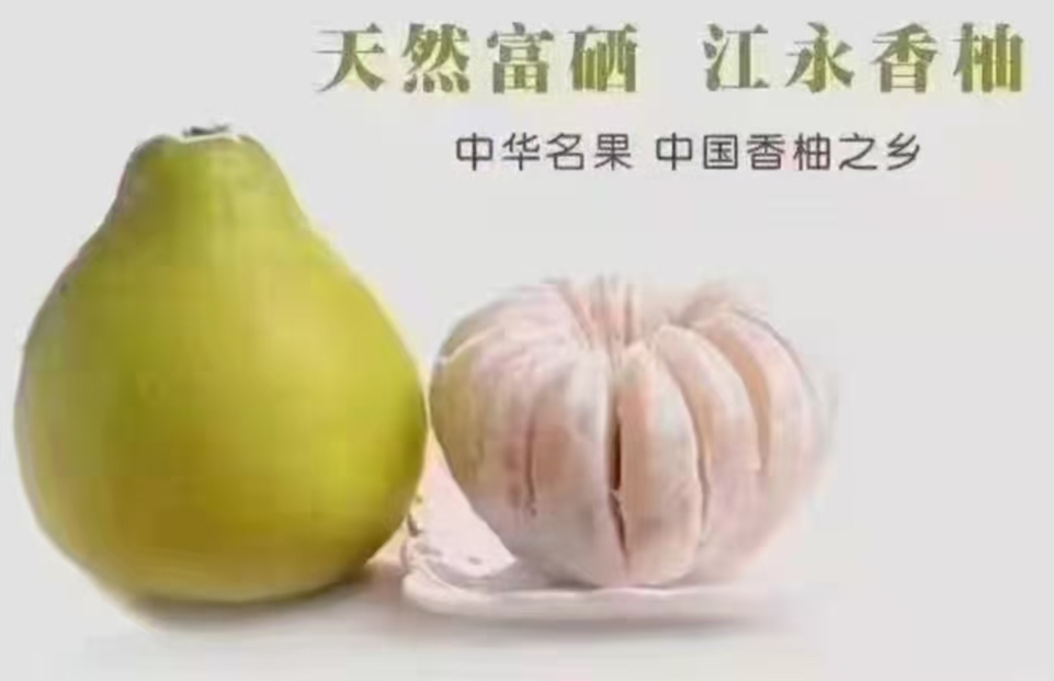 江永香柚