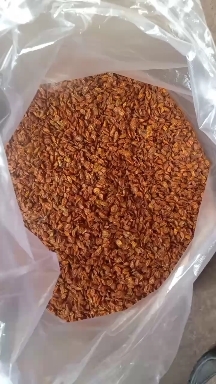 白山沙棘果干