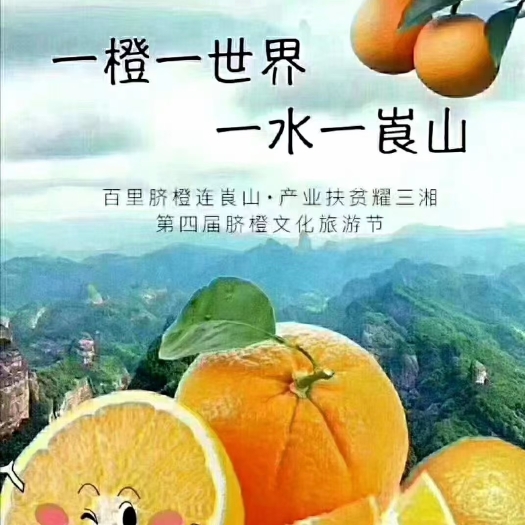 新宁县新宁崀山脐橙＋纽荷尔＋7904