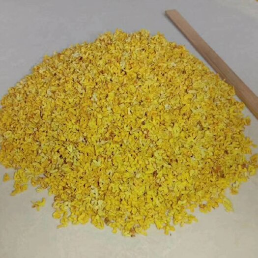 阳朔县桂花瓣 2021新桂花干   一手货源  量大从优