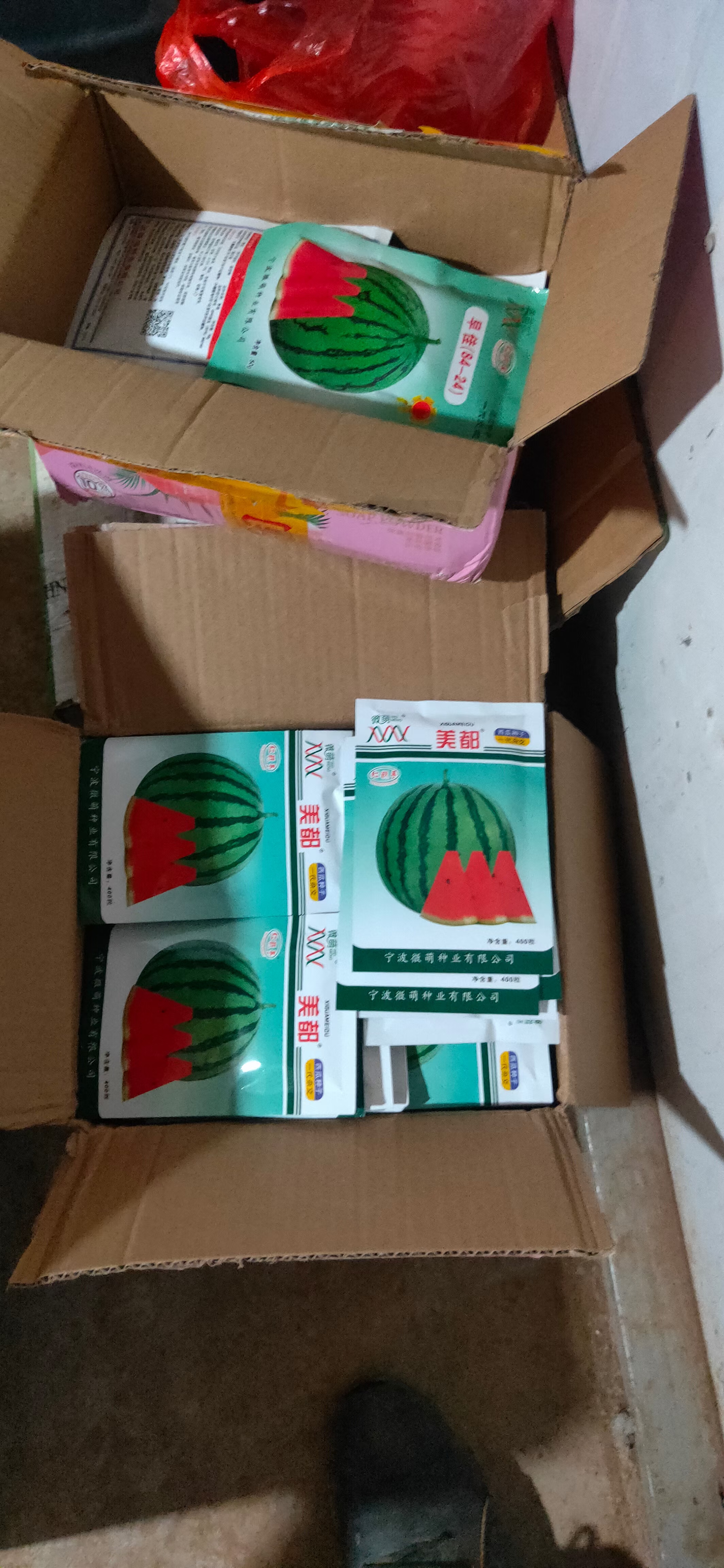 寿光市美都西瓜苗