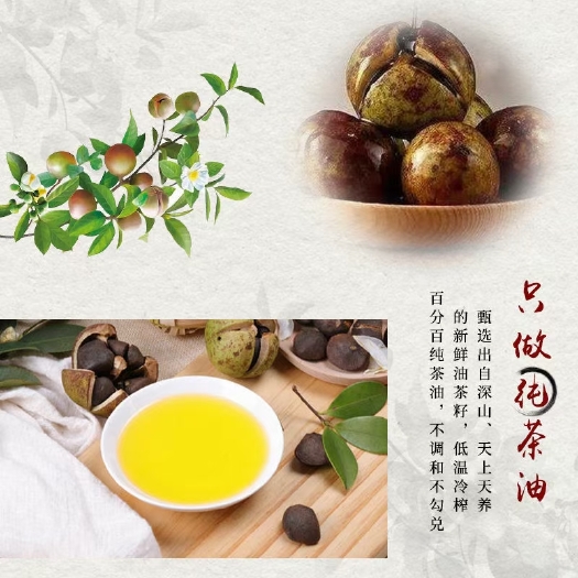 阳山县山茶油 正宗野生茶油