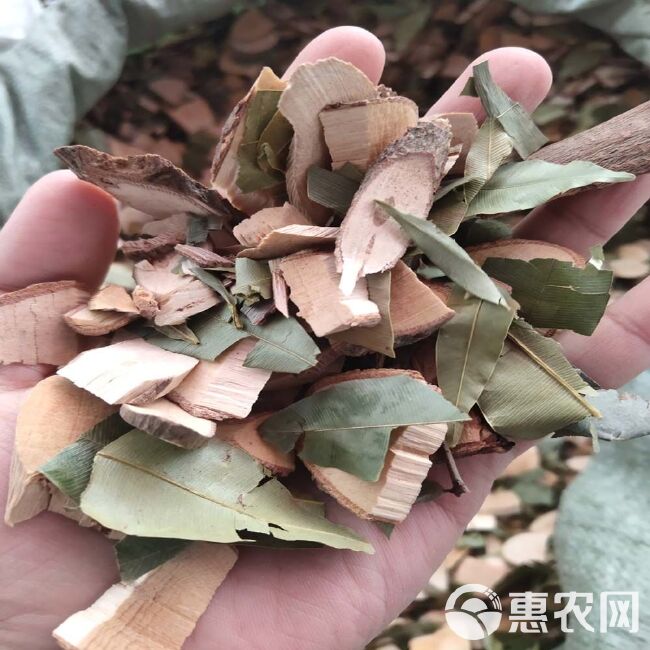 席草 横经席 中药材 横茎席 骨碎莲 中草药 干货 2斤起售