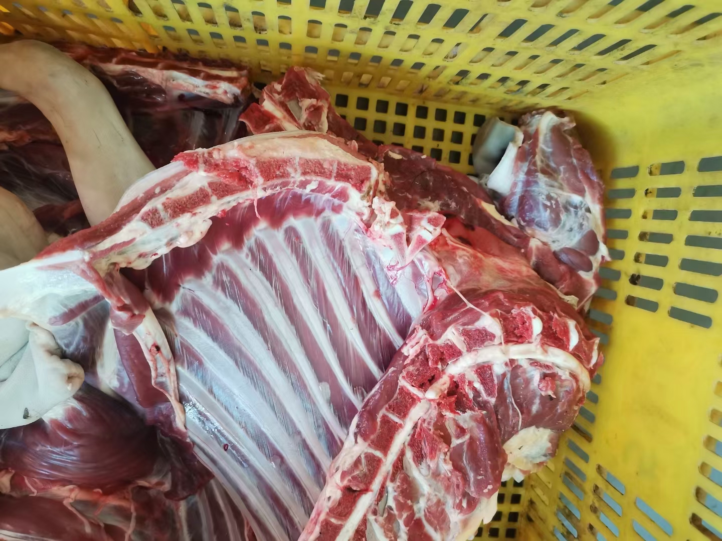 羊肉类  放养黑山羊肉，新鲜羊肉，当天发货