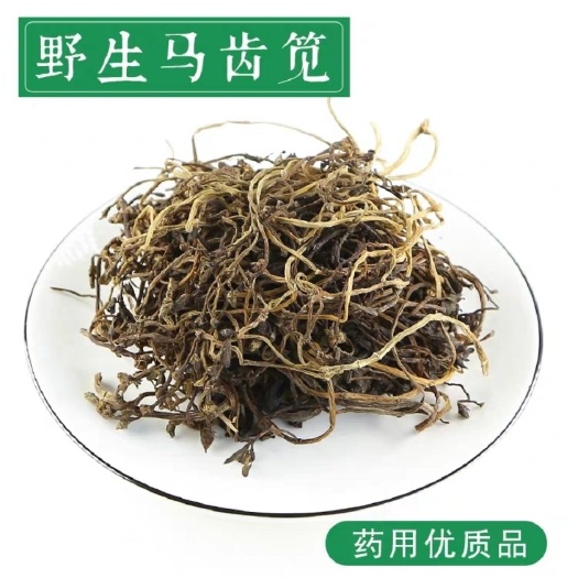 干马齿苋 马齿苋 干野菜 中药材马齿草 马齿菜 马苋 五行草