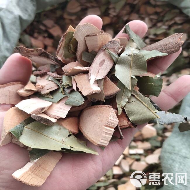 席草 横经席 中药材 横茎席 骨碎莲 中草药 干货 2斤起售