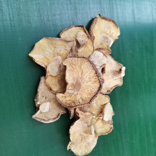秋季新菇 干香菇 干香菇大片，中片，小片，薄片 香信菇