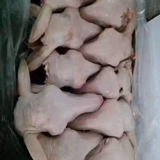 郑州羊肉类 水退生羊头