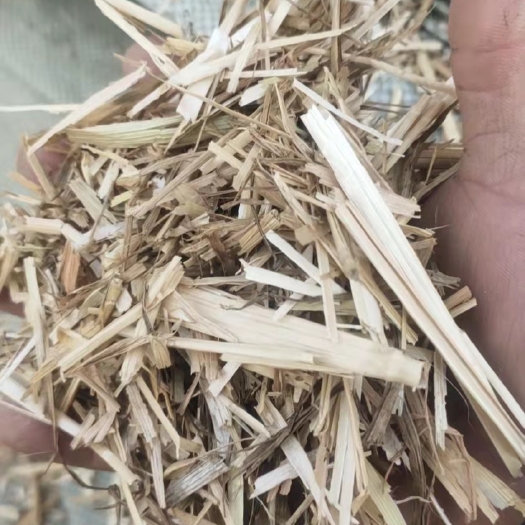 叶县小麦秸秆  厂家直销保证质量