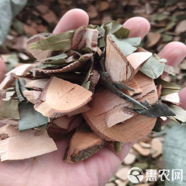 席草 横经席 中药材 横茎席 骨碎莲 中草药 干货 2斤起售