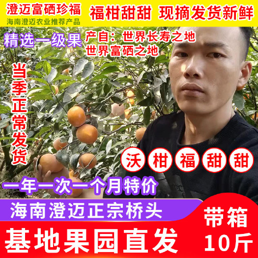 澄迈县 海南澄迈新鲜沃柑福柑正宗官方旗舰鲜果多汁.顺丰包邮10斤装