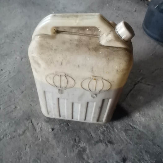 隆林县山茶油 老品种茶油果油