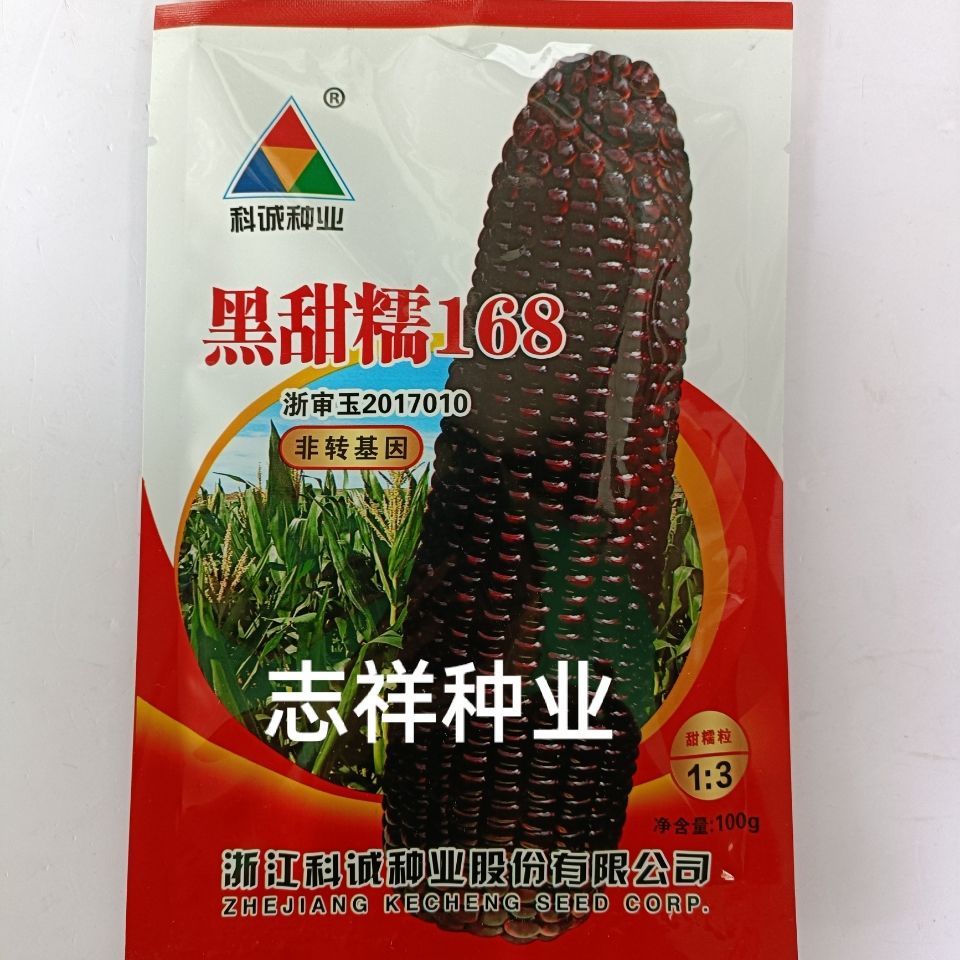 华容县黑玉米种子 黑甜糯168甜糯玉米种子黑粘糯玉米籽大田黑玉米种