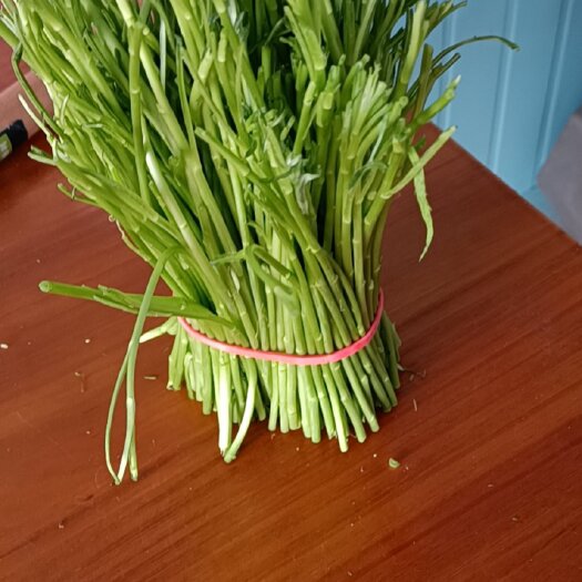灵璧县藜蒿 芦蒿