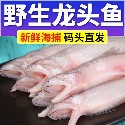 龙头鱼鲜活速冻豆腐鱼当季豆腐鱼新鲜龙头鱼丝丁鱼舟山龙头鱼
