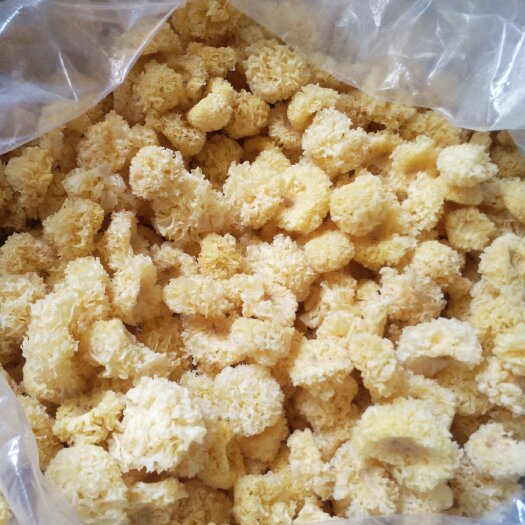 古田县椴木银耳  高山区 椴木小银耳，营养丰富，品种齐全
