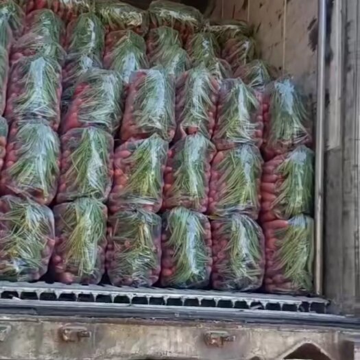 通许县 精品水洗胡萝卜  代樱   土货   加工厂 场地直发一手货
