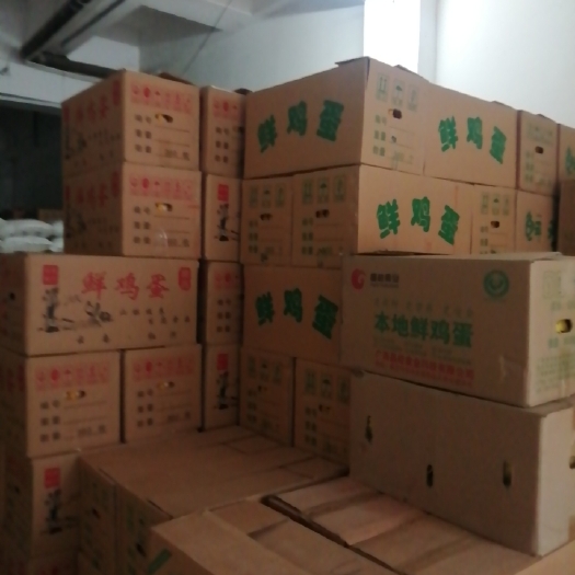 龙州县普通鸡蛋 鸡蛋
