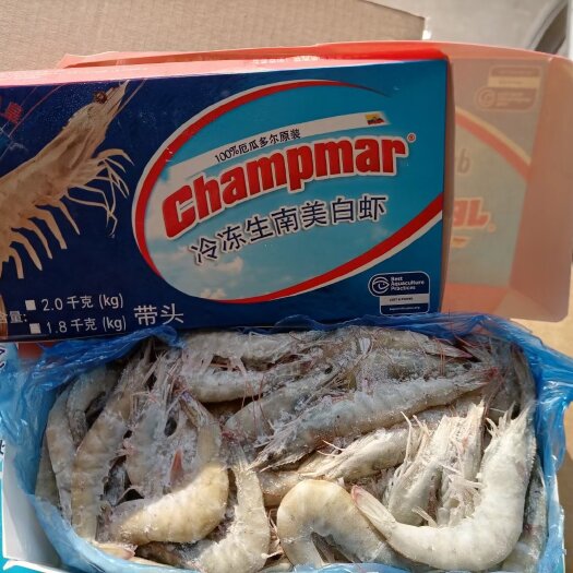 南美白对虾 虾皇，高端品牌