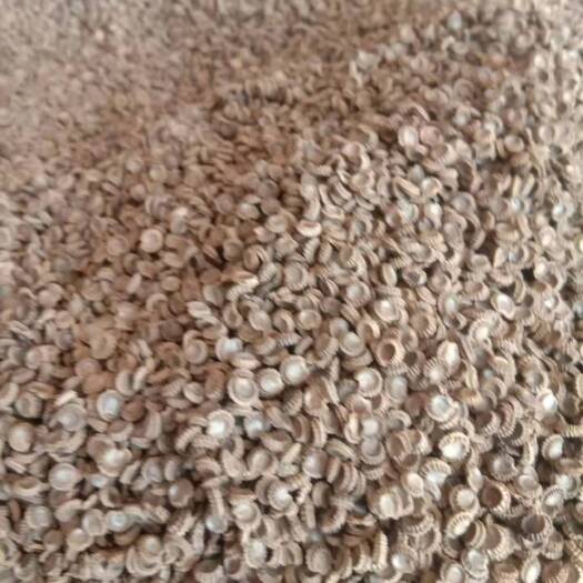 新干县粉防己