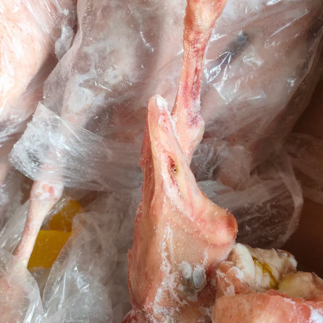 济南鹅肉类   仔鹅，老鹅厂家直销